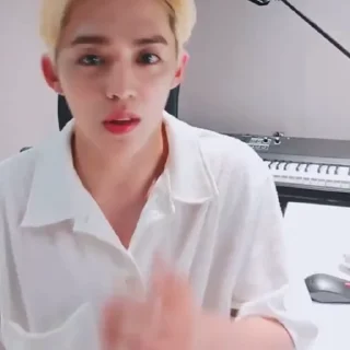 Sticker from Seungcheol @HBXHUS @TgEmodziBot