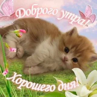 ❤️ emoji добрые котята Telegram sticker 11 of 107