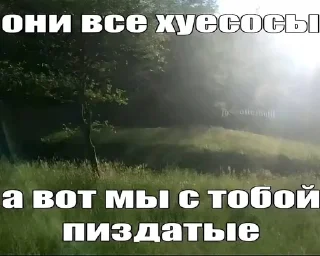 🌟 emoji добрые котята Telegram sticker 24 of 107