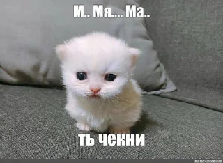 ❤️ emoji добрые котята Telegram sticker 6 of 107