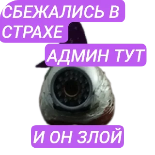 Sticker from Лучший админ