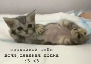 😘 emoji как вы меня задолбали Telegram sticker 20 of 76