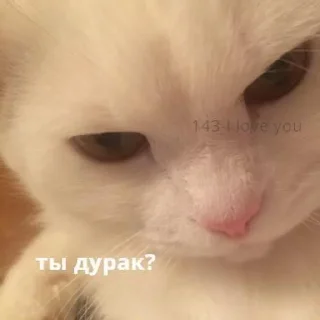 😐 emoji как вы меня задолбали Telegram sticker 6 of 76