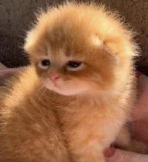 ☺️ emoji как вы меня задолбали Telegram sticker 9 of 76