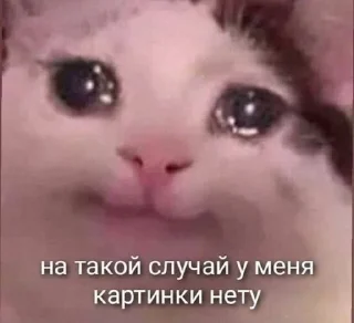 ☹️ emoji как вы меня задолбали Telegram sticker 8 of 76