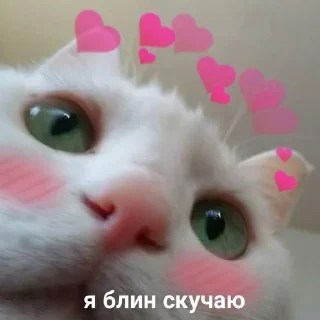 ❤️‍🩹 emoji как вы меня задолбали Telegram sticker 22 of 76