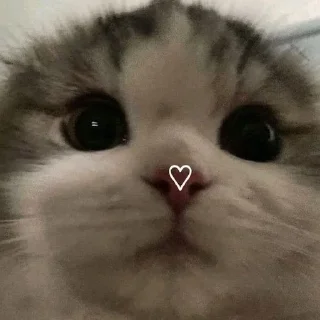 ✨ emoji как вы меня задолбали Telegram sticker 11 of 76