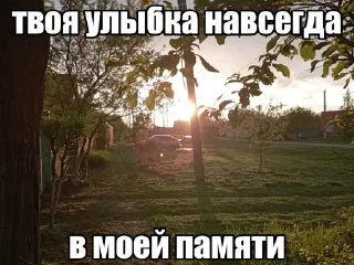 Sticker from Мёртвый Сашка