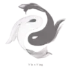 🤍 emoji 𝟭𝟯𝟮𝟳 Telegram sticker 23 of 200