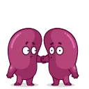 Human Organs sticker 4