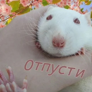 Sticker from Ириска