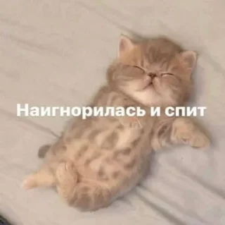 🌟 emoji котики мя Telegram sticker 8 of 77