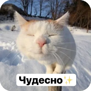 Sticker from Стикеры от Лерочки Водомерочки