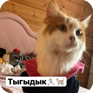 Sticker from Стикеры от Лерочки Водомерочки