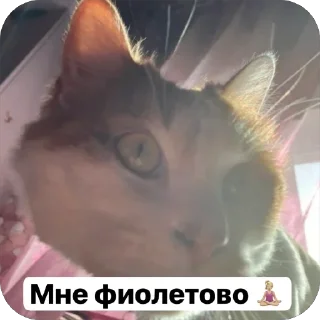 Sticker from Стикеры от Лерочки Водомерочки