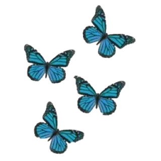 🦋 emoji 𝐩 𝐚 𝐫 𝐚 𝐝 𝐨 𝐱 🎭 :: @paarraaddo Telegram sticker 12 of 66