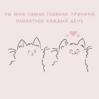 🍉 emoji ヤ🌷ᝰ˚₊ 愛 ૮₍ྀི ˶'ᐤ'˶ ₎ྀིა Telegram sticker 12 of 80