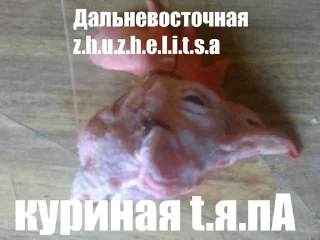 Sticker from Эщкере сынок