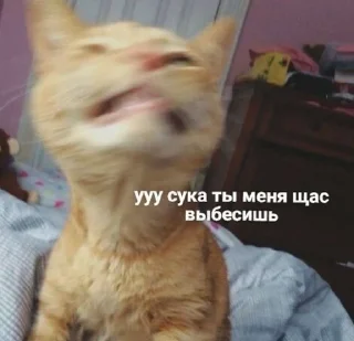 Sticker from котикиЛуиза