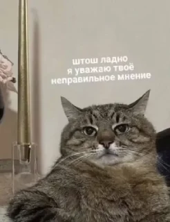 Sticker from котикиЛуиза