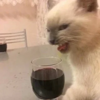 🍷 emoji Любимки @horoscopelovebot Telegram sticker 9 of 53