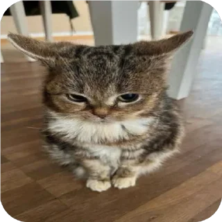 ⭐️ emoji Любимки @horoscopelovebot Telegram sticker 5 of 53