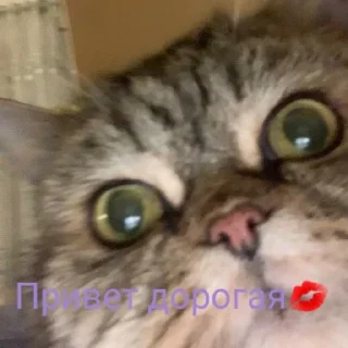 Sticker from Любовь