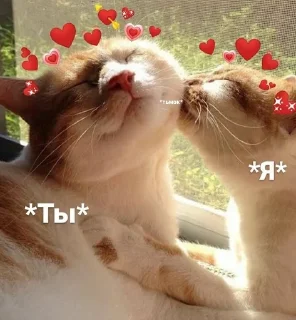 Любовь sticker 3