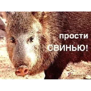 😞 emoji сынша лавы Telegram sticker 3 of 57