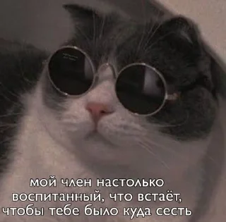🌟 emoji Я дебил с пикчами Telegram sticker 22 of 118