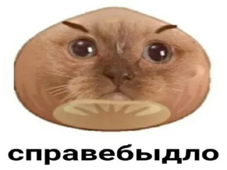 😌 emoji Я дебил с пикчами Telegram sticker 14 of 118