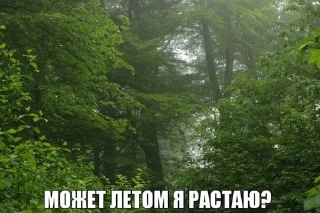 Sticker from пикчи с природой