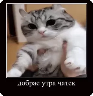 🌟 emoji Бери солнце ☀️ by @offstikbot Telegram sticker 4 of 120