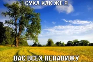 Sticker from пикчи с природой