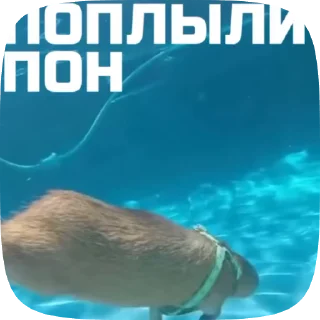 Sticker from Набор стикеров @anoobys1337