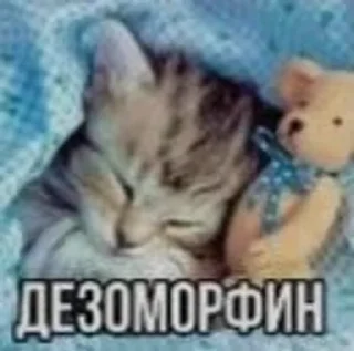 Шизофрения by @EmptinessN sticker 4