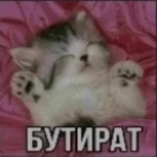 Шизофрения by @EmptinessN sticker 3