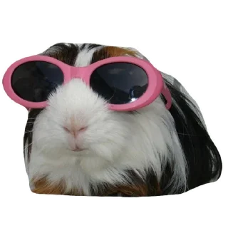 Sticker from не воруй
