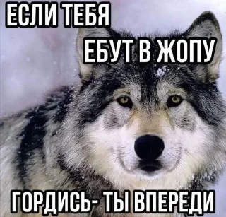 Sticker from Что по матери?