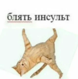 🌟 emoji пон Telegram sticker 6 of 29