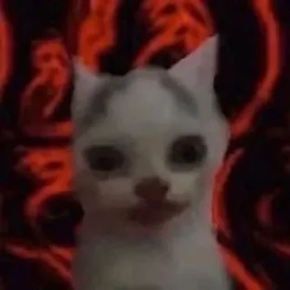 🐈‍⬛️ emoji пон Telegram sticker 14 of 29