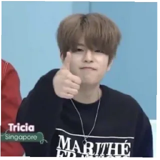 👍 emoji Стрей кидс моя любовь 💕 Telegram sticker 13 of 36