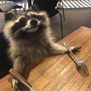 Sticker from raccoons 🦝 by @immlssml
