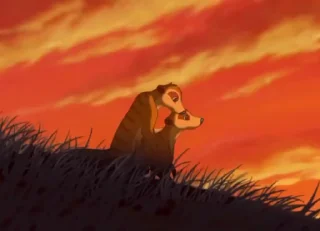 Sticker from Король лев. Тык 👉@Tyomka_Stickers