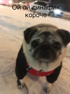 🌟 emoji Монаха и Чарулька Telegram sticker 8 of 18