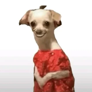 Sticker from собачульки