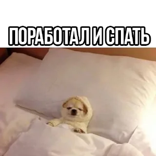 😴 emoji fävørĩte ŝtickęrs :: @DIHOLE1F Telegram sticker 22 of 36