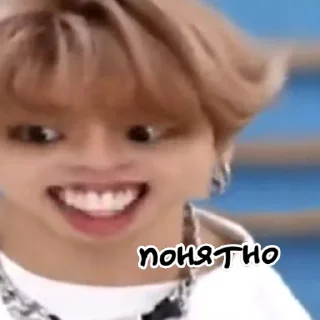 Sticker from stray kids