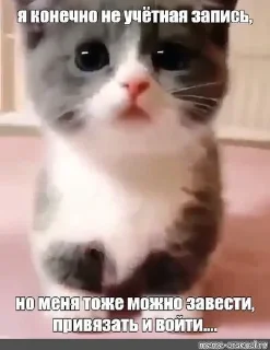 Sticker from котеки