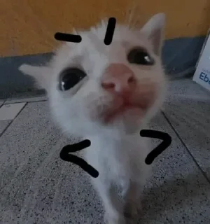 🌟 emoji котеки🐾😍 @lixqwsi_ll Telegram sticker 1 of 47